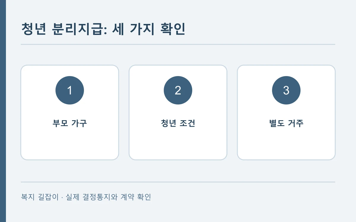 청년 분리지급의 판단 순서를 세 칸으로 나타낸 편집 개념도